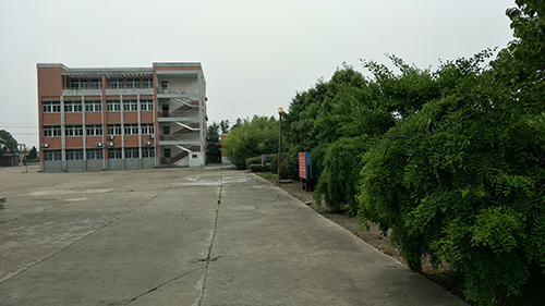 校园风景