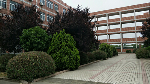 校园风景